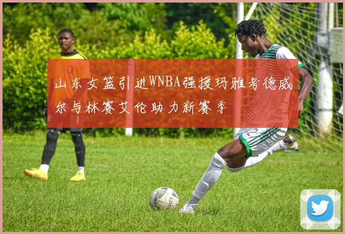 山东女篮引进WNBA强援玛雅考德威尔与林赛艾伦助力新赛季