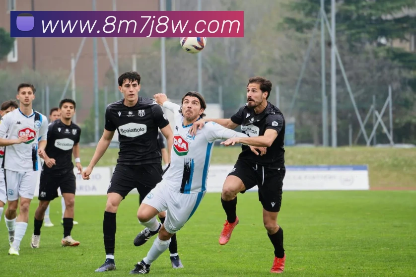 K体育平台生态图