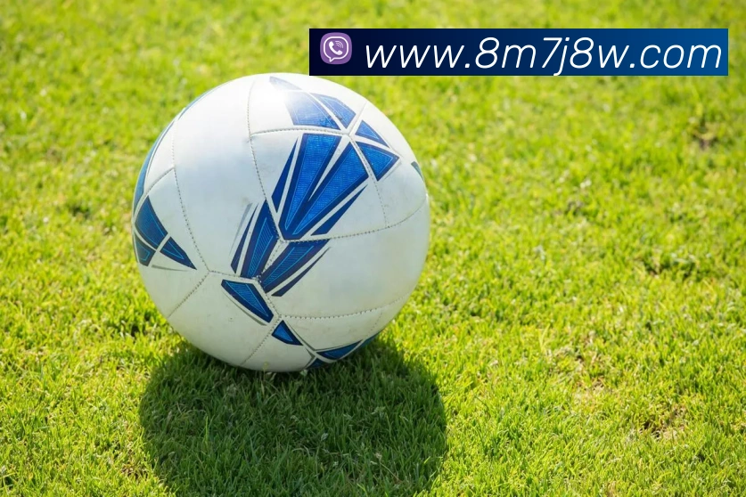 K体育APP 封面图